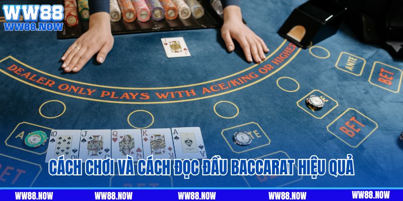 Hướng dẫn cách chơi và cách đọc đầu Baccarat WW88