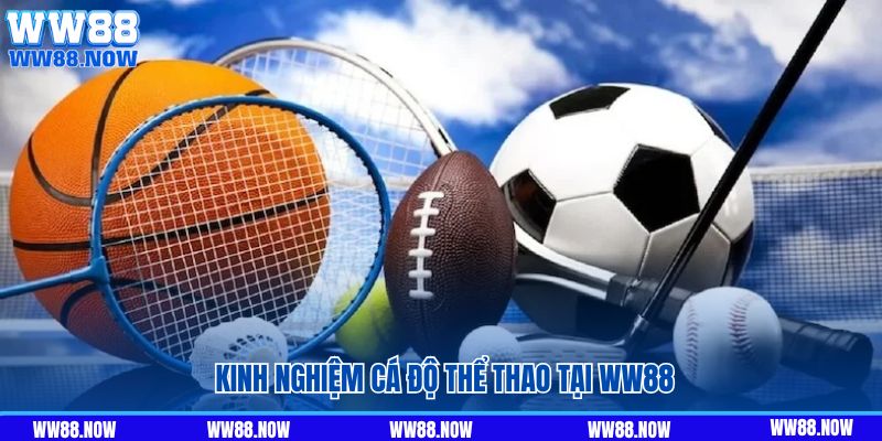 Kinh nghiệm cá độ thể thao tại WW88